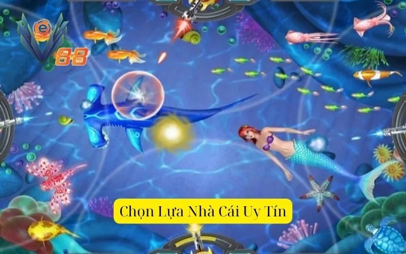 Chọn Lựa Nhà Cái Uy Tín