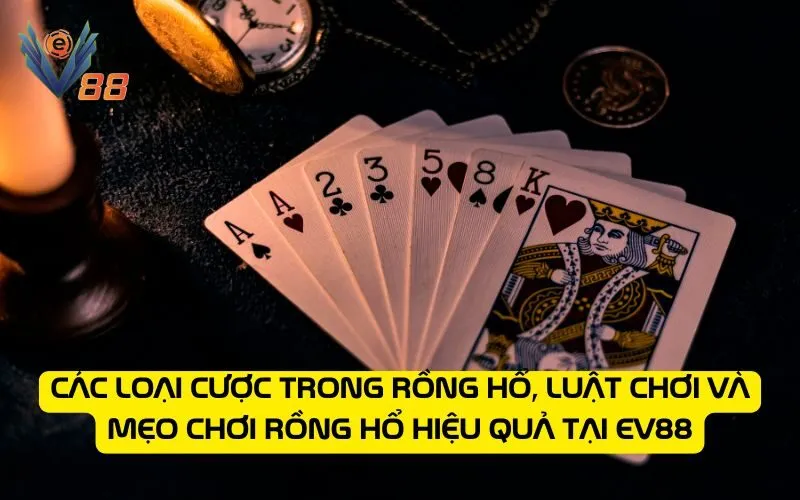 Các loại cược trong Rồng Hổ, Luật chơi và mẹo chơi Rồng Hổ hiệu quả tại EV88