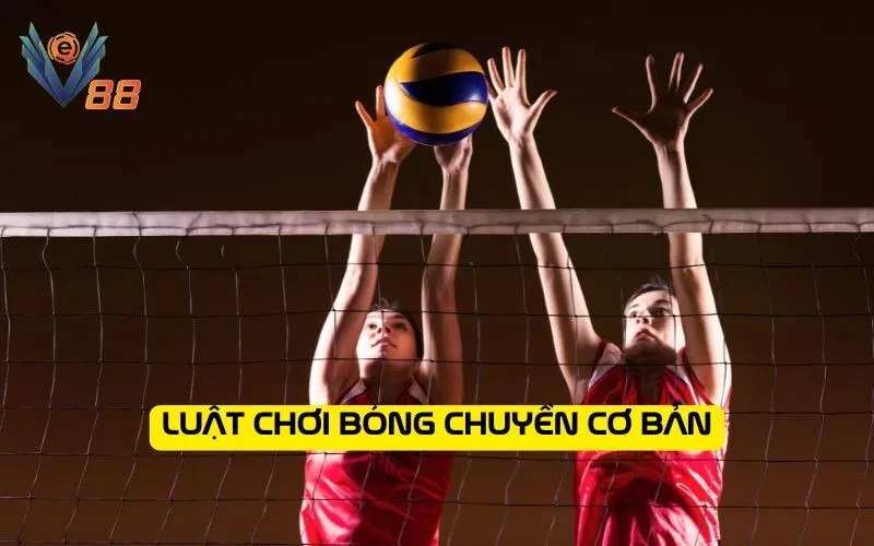 Luật chơi bóng chuyền cơ bản